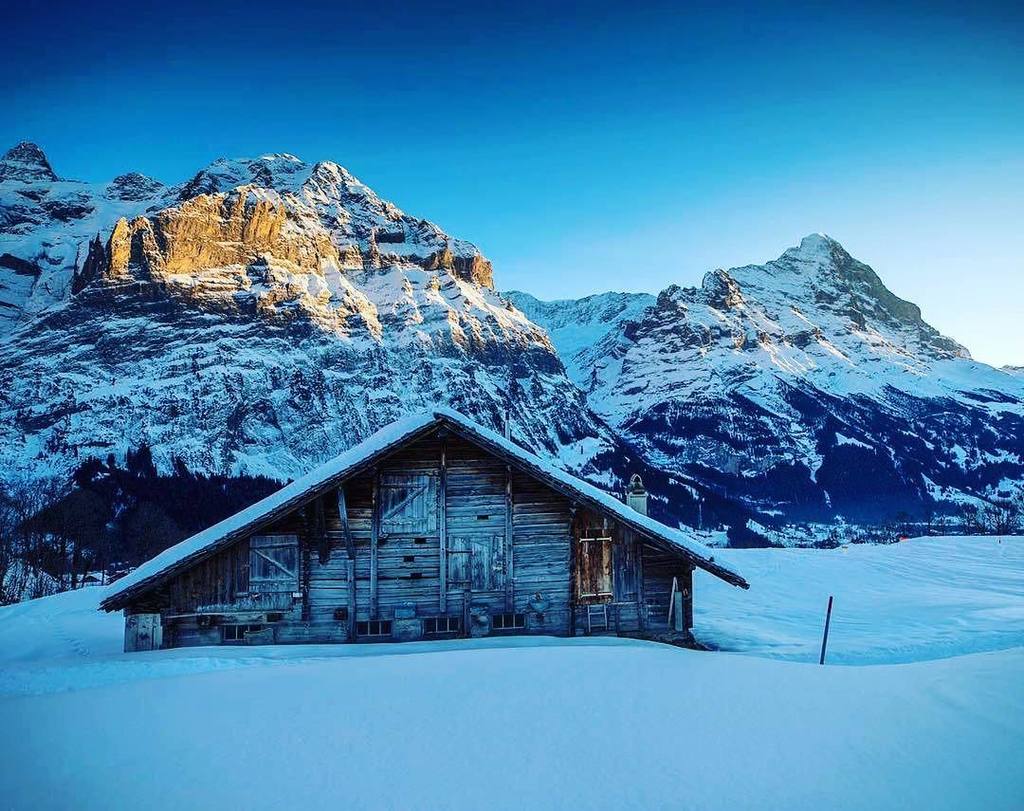 SwissMyLove's tweet photo. #Repost @davidbirri
・・・
#grindelwald #eiger #lastsunlight #mountains #landscape #bernerobe… https://t.co/O8uiufBYcv https://t.co/8eC7xnVxyU