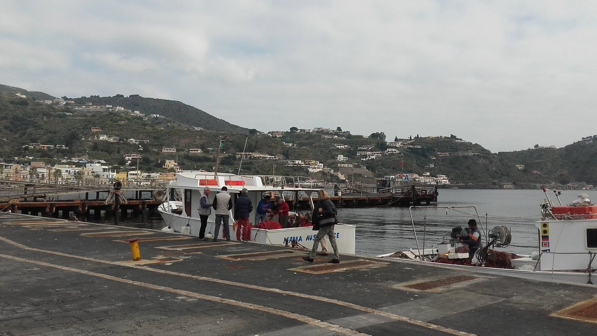 FTrappolini's tweet photo. Lipari (Me): invasione di delfini nelle Isole Eolie. I pescatori lamentano danni per le loro reti e per la quantità di pescato #extrAgora https://t.co/T64ORsfBPl