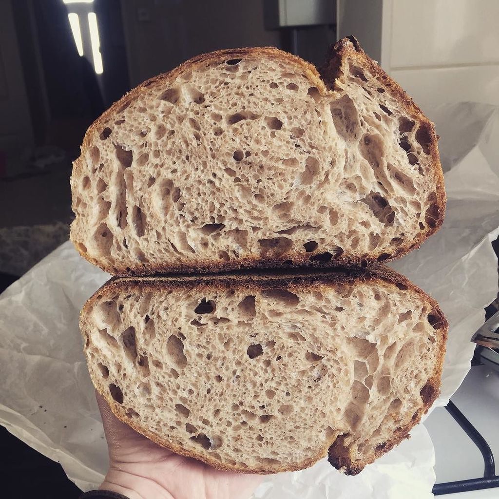 margotbakery's tweet photo. The one I brought home #themargot #crumb #bakerylife #sourdough #eastfinchley #bread https://t.co/WPWd3S8yHT https://t.co/vsu66gVSHH