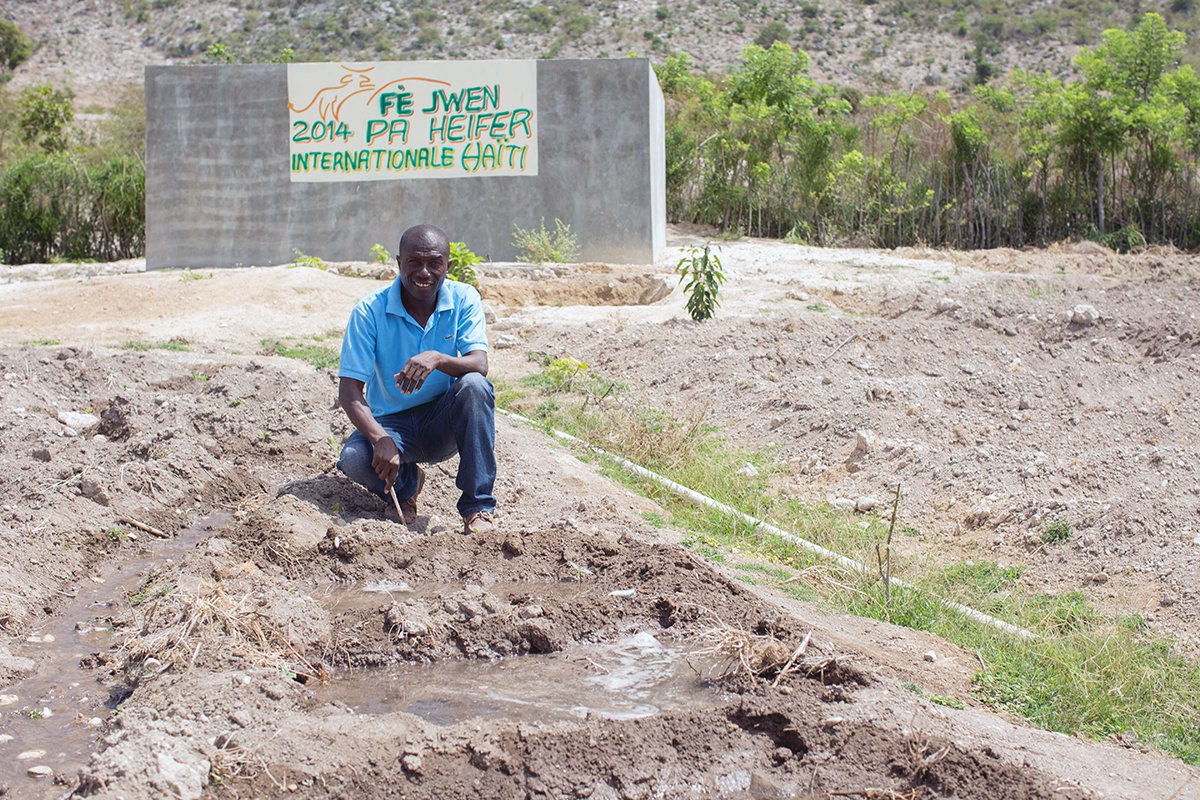 Heifer's tweet photo. Before access to an irrigation pump, Auguste's only source of water was over 2 miles away. https://t.co/oSeAcO9veD #WorldWaterDay https://t.co/SSPit51yiX