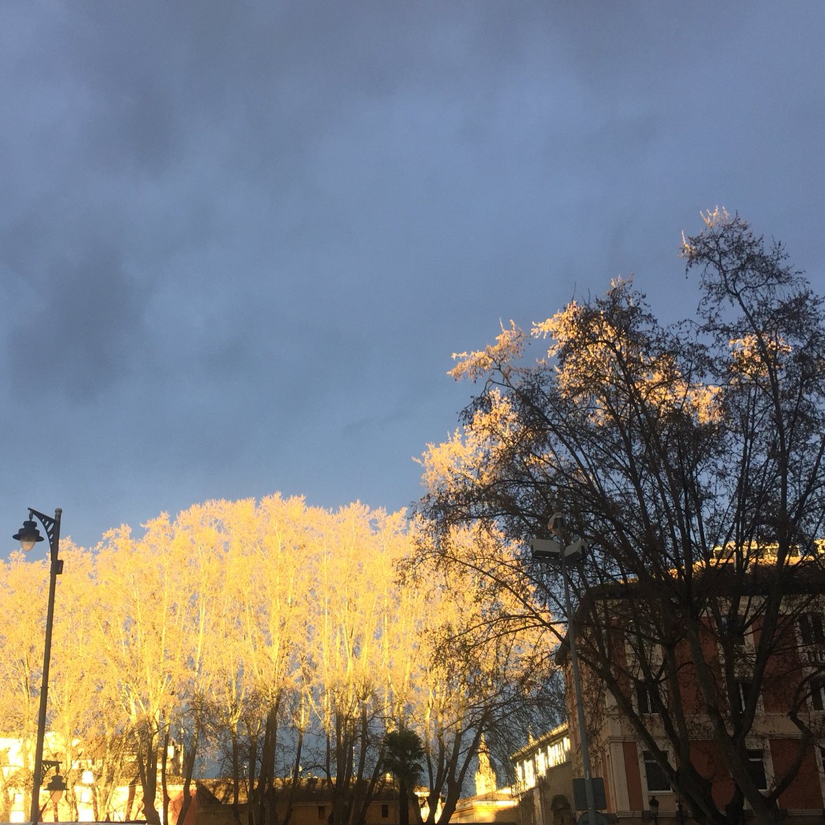 Bienvenida a Logroño... #luces #larioja #spain #logroño #rioja  <a href="/lariojacapital/">La Rioja Capital</a> <a href="/lariojaturismo/">La Rioja Turismo</a> <a href="/rioja/">Eriko</a>