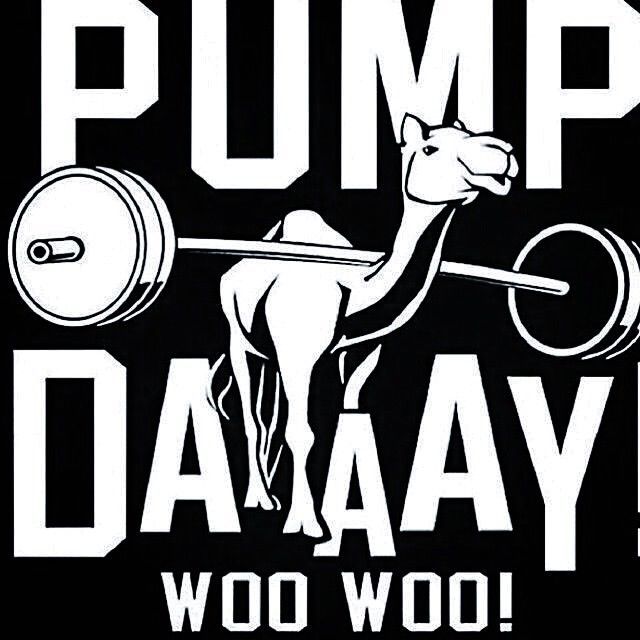 UFC_Parker's tweet photo. --Who's ready to get pumped up??-- https://t.co/x2tIw3GAFB