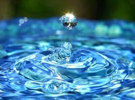zairafernandezm tweet picture