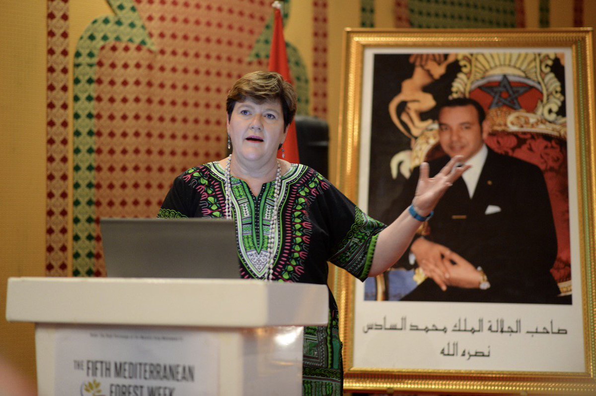 FCNMedNE's tweet image. “You have to be always ahead of the history” Kay Montgomery, African Forest Communicators Network #MedForest2017 #forestcommunication