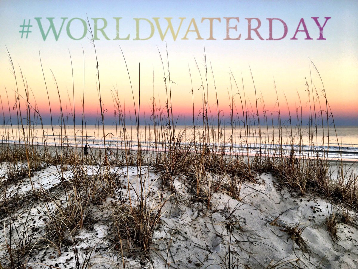 7thGenYouth's tweet photo. In honor of all our Water Protectors. We see you, we hear you, we love you. Continue to #DefendTheSacred on  #WorldWaterDay and everyday. https://t.co/gcVNG9P3MK