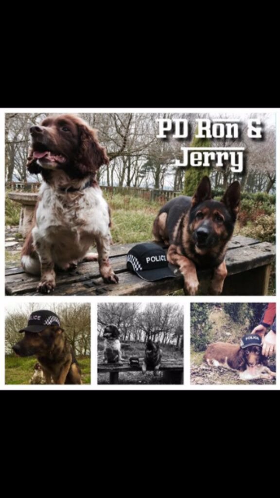 LancsPolDogUnit's tweet photo. #T1dogs PD Jerry located cash on search and PD RON just detained two one stopped gave up other ran but Ron stops him https://t.co/98jYeDqHyr