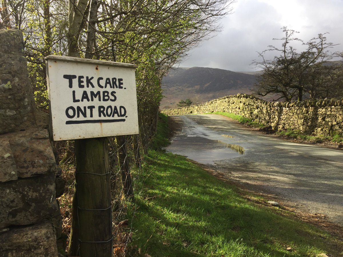 The most Cumbrian thing ever 😂 #Buttermere #lakedistrict