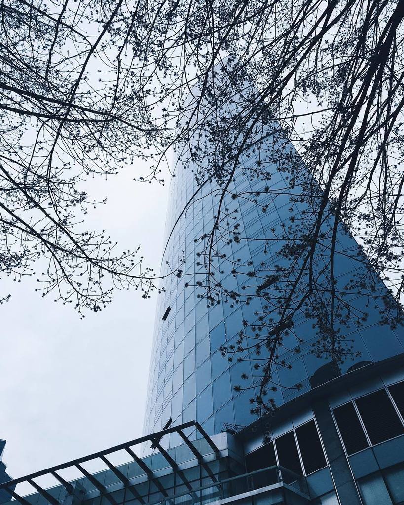 Goodbye winter. #vancouver #blue ift.tt/2mty0c6