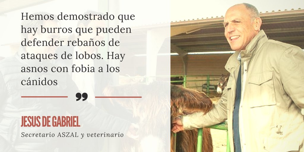 esRadio_CyL's tweet photo. #enDirecto #EsElCampoCyL Hablamos con #JesúsDeGabriel sobre el proyecto de #ASZAL
▶️ 📻
▶️ app @esRadio 
▶️ https://t.co/plRk2OHZEP https://t.co/R60iicd7Yi