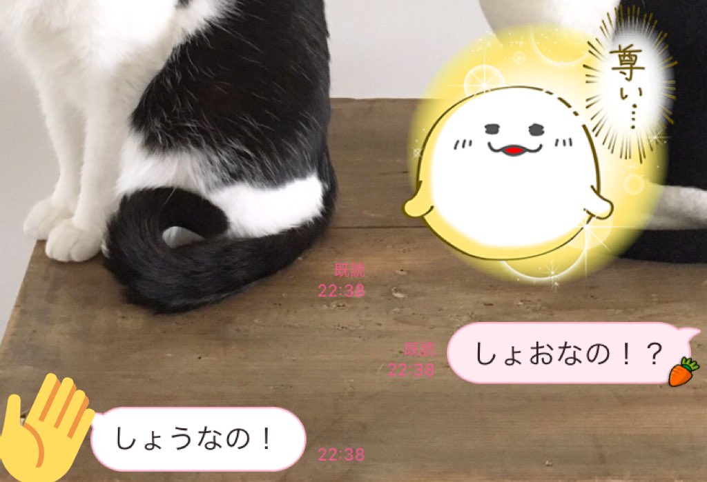 しょうなの Cerca Su Twitter