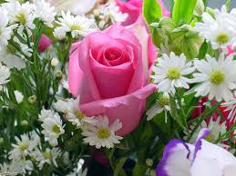 #قروب_قبيله_حرب
#حبي_لهارغم ضروف القاسيه رغم المحن
#اليمن_?