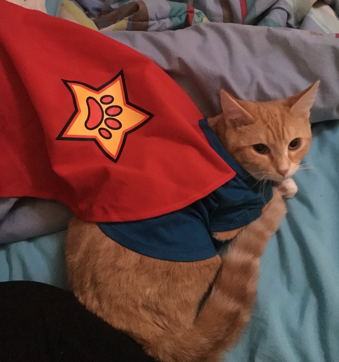 BarnMngerProbs's tweet image. I like it! #PiPower