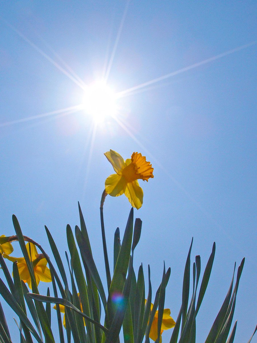 친절과 사랑은 우러나는 것이다.
우리 마음속에서 우러나오는 것이다.
사람은 친절과 사랑 안에서 성장한다.

자비를 베풀라.
사랑해라.

여러 말이 있지만 친절하다는 것,
이것이 인간의 미덕이다.

- 법정스님