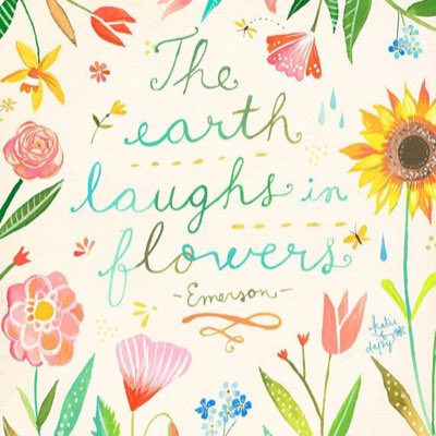 stems_petals's tweet photo. #NewProfilePic https://t.co/3dTVeGd2jH