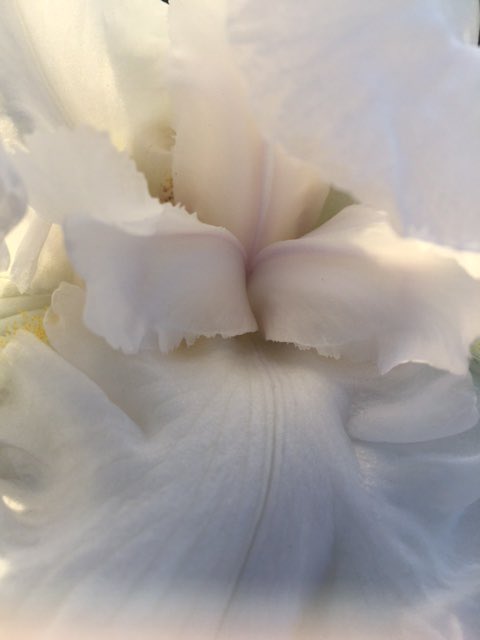 Georgiadee's tweet photo. The #power of being in a state of #calm as a neutral point right now @TantraMaat https://t.co/6hsSBChctK