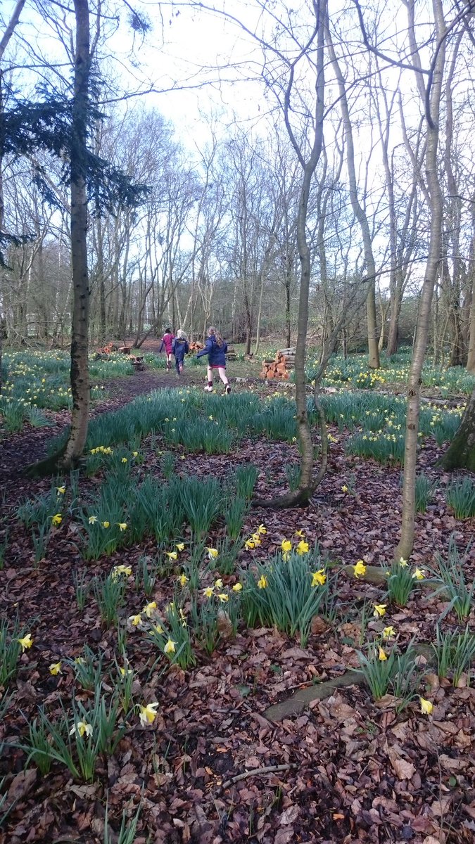 BWPSport's tweet photo. What do you do when your fixture is cancelled?.... Well obviously a House Riddle Bingo Nature Scavenger Hunt! #WoodsFun #FullHouse #Team https://t.co/Do1mjeUvrD
