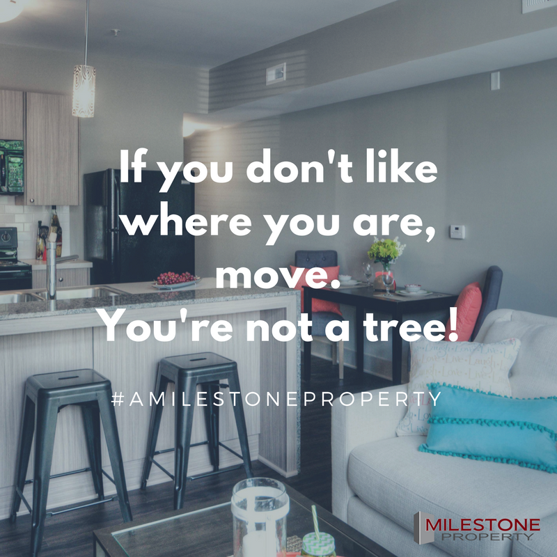 amilestoneprop's tweet photo. The Sycamore is Filling up quick! Call (402) 991-0761 and Schedule a showing Today!

#amilestoneperoperty #theSycamore https://t.co/H9MwRx57k9