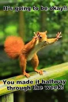 SilverGS2's tweet image. Happy Midweek!