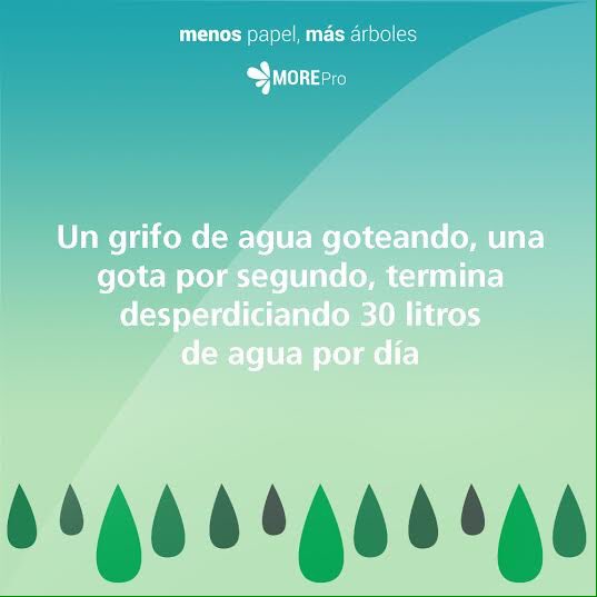 Sistemas MORE Pro tweet media