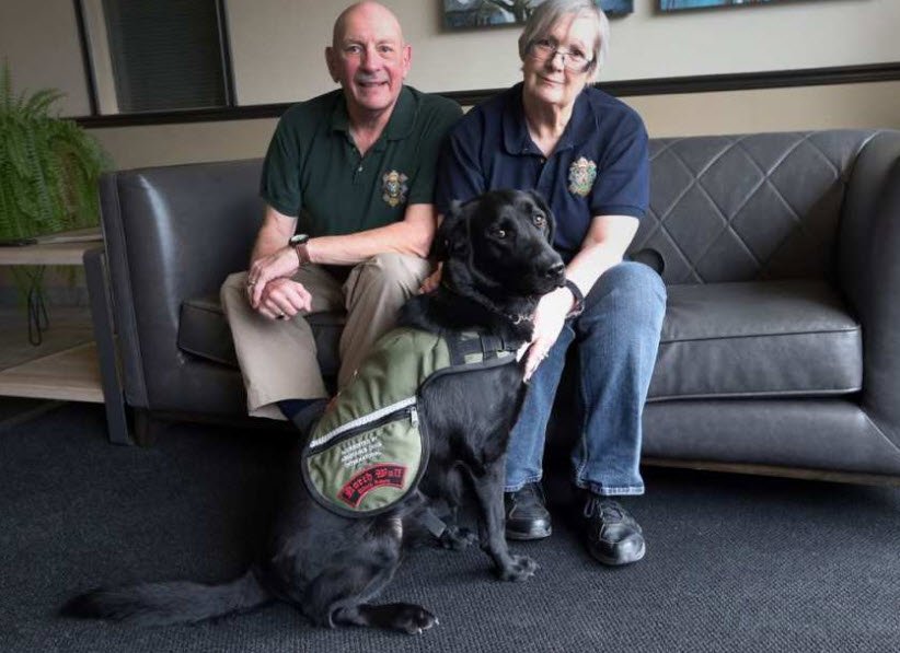USA Service Dog tweet media