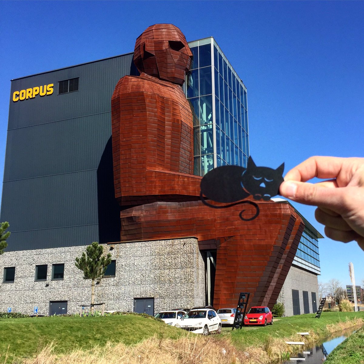 The Best Sleeping Place in The Netherlands for a Cat...CORPUS - Oegstgeest! #corpus #science #humanbody #cat #silhouette #papercut @Corpus