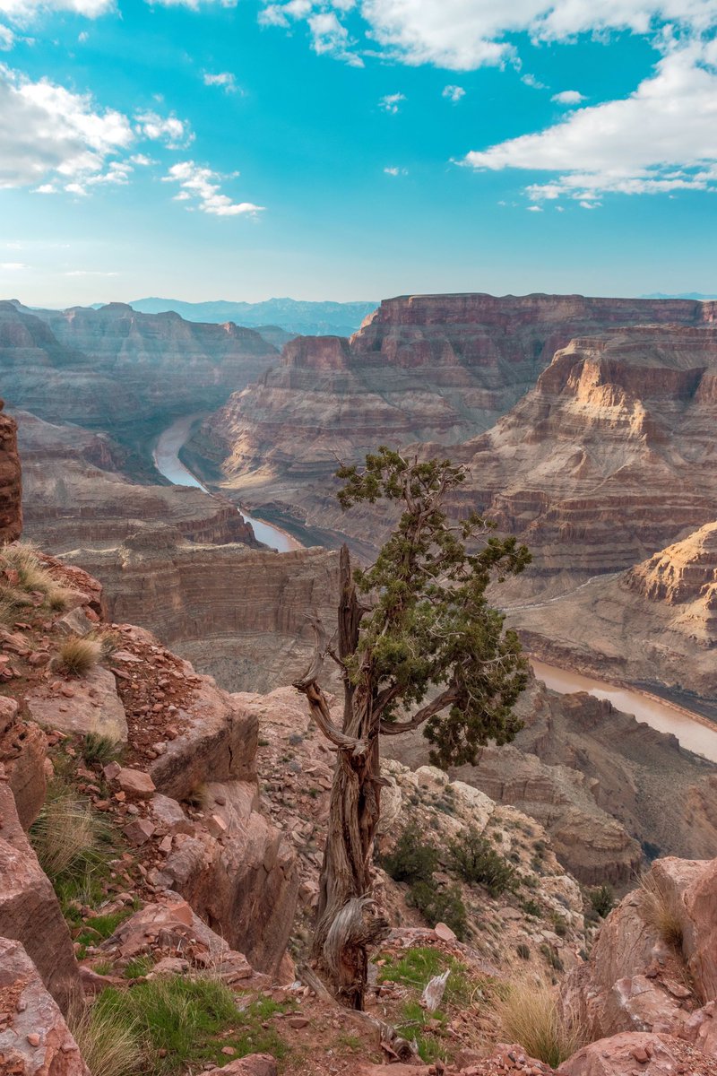 CSSPhotoMadison's tweet photo. View of Grand Canyon West #landscapephotography #travelphotography @GCW_HRR https://t.co/kmXokwzDTB