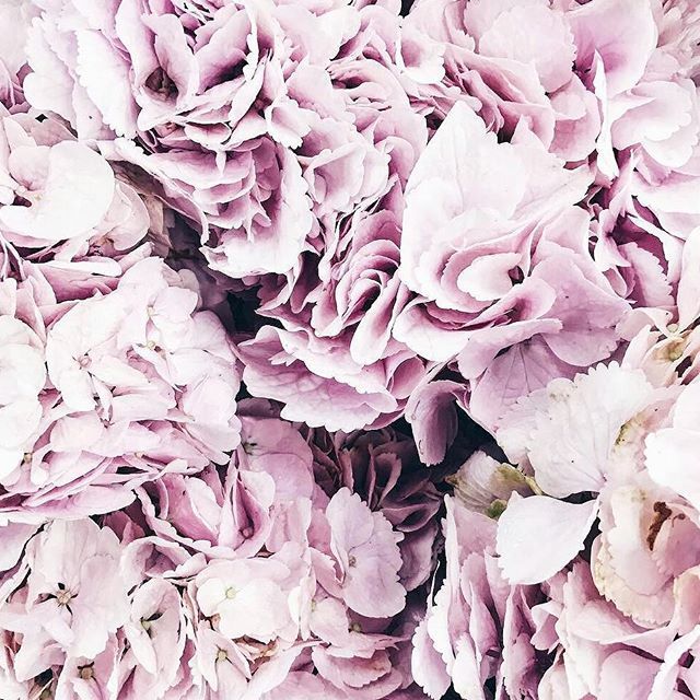 EZMAUK's tweet photo. Reposting @songofjewellery:
Loving these flowers 🌹🌹
Another designer interview will be up on the blog today 💍 📷 @katherinedorrington https://t.co/3x1qoVk89n