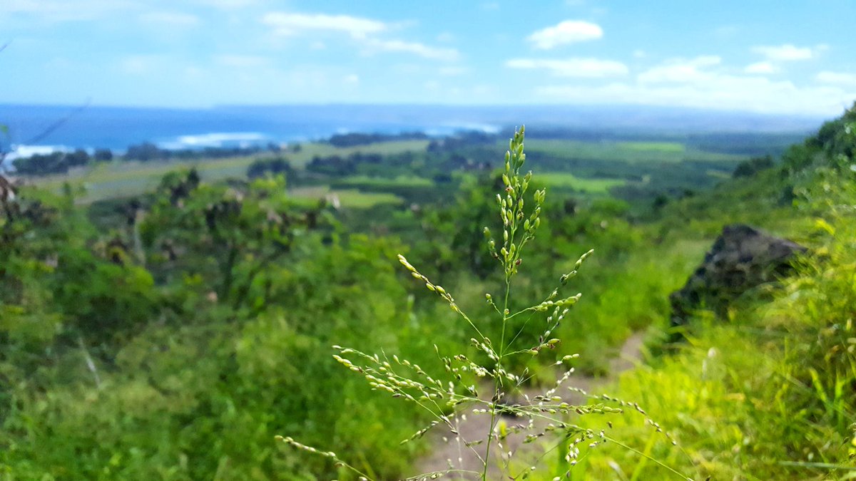 Andrea Westerband (@acwesterband) on Twitter photo #fieldwork #fieldwork
