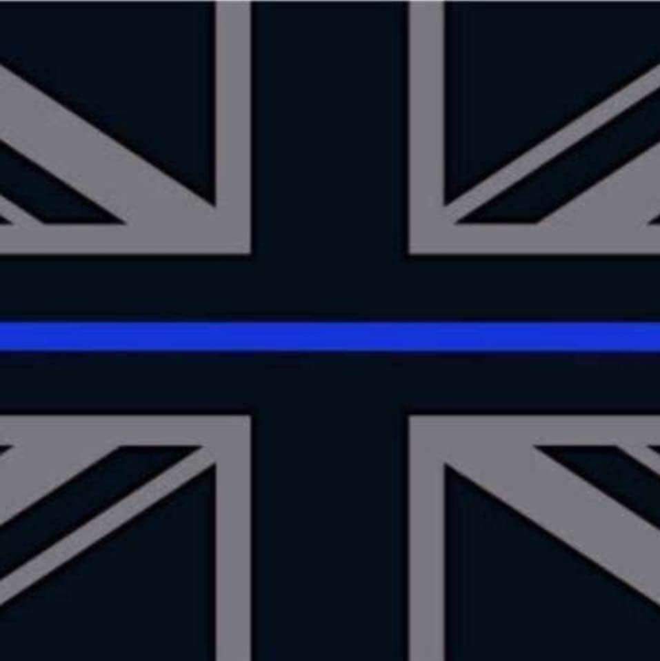 OrlandoPolice's tweet photo. We stand with our Law Enforcement family in #London as it grieves the loss of an officer in the attack today. https://t.co/UI8Gm5Rsp1