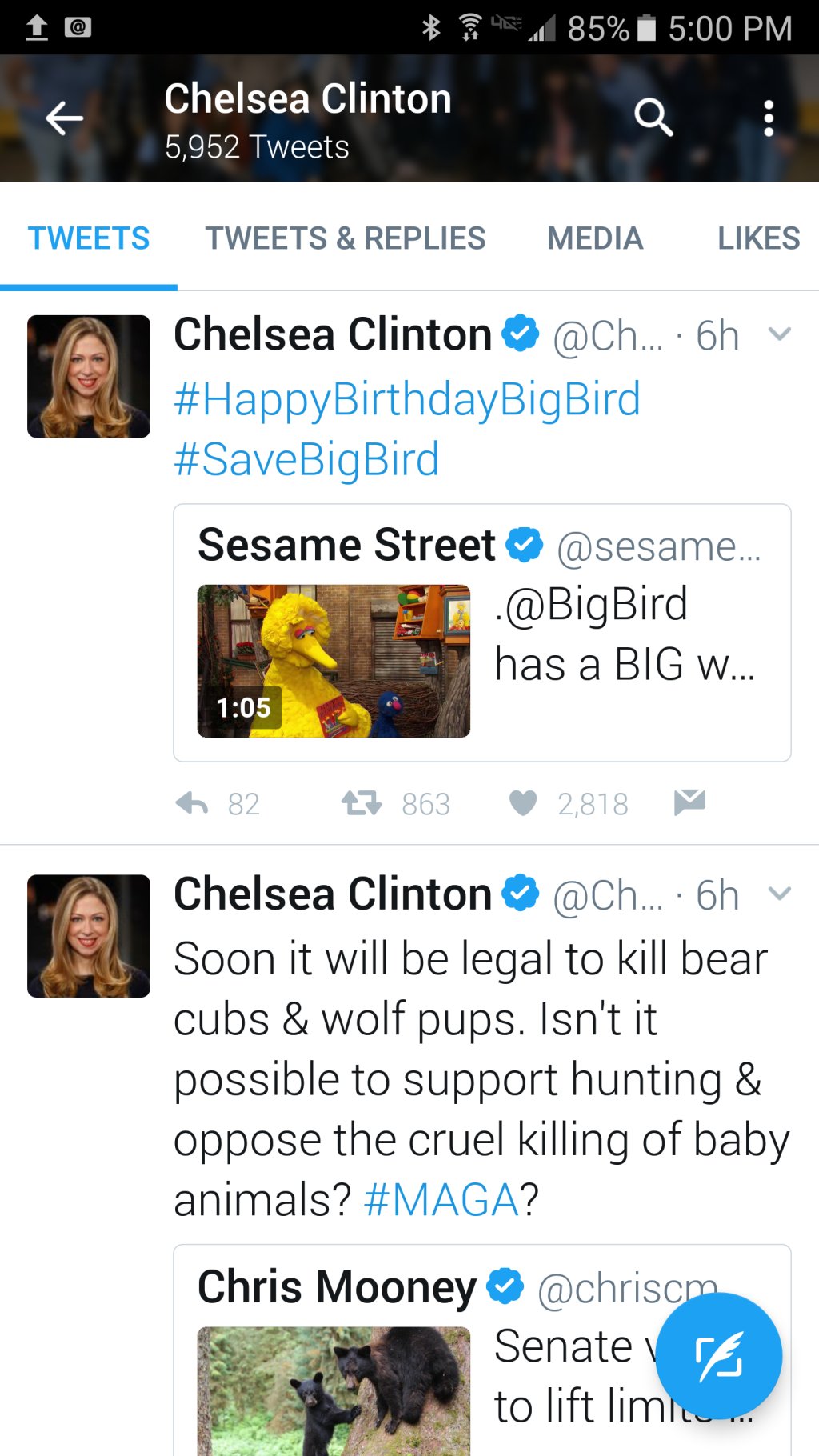 Chelsea Clinton Ignores UK Terror Attack, Wishes Big Bird Happy Birthday 