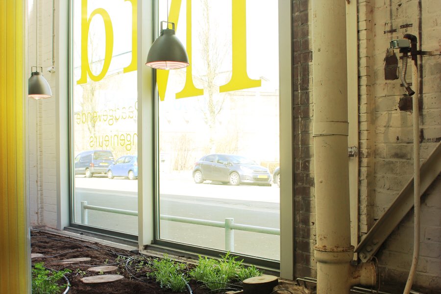 Primeur voor de #plukkruidentuinRMunt bij IMd. goo.gl/hWVAX9