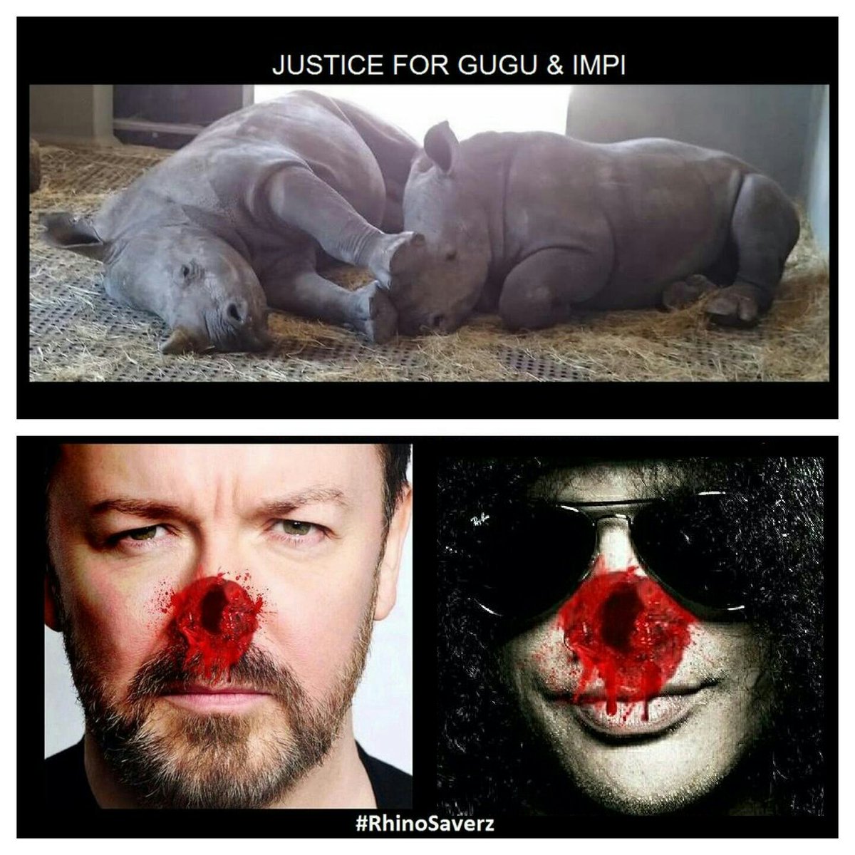Protect_Wldlife's tweet photo. #SupportThulaThula - EMERGENCY funding needed for @ThulaThulaFund. Pls donate @ ️https://t.co/h4cyoMxnXa @Rhinosaverz @RickyGervais @Slash https://t.co/TkYk6gS9Ae