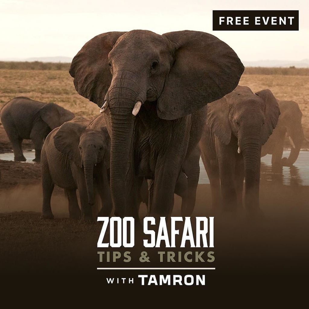 SAVETHEDATE: 
April 6th, 6pm, at The Camera Exchange, come join us for a FREE preview to o… ift.tt/2mVONkr