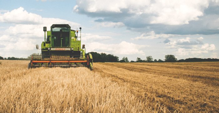 noshdotcom's tweet image. New Center via @AppliedFoods Takes On Non-GMO, Plant-Based Ingredient Research bit.ly/2nov67R