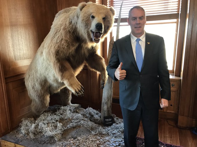 Secretary Ryan Zinke poses with a thumbs up next to a taxidermy grizzly bear