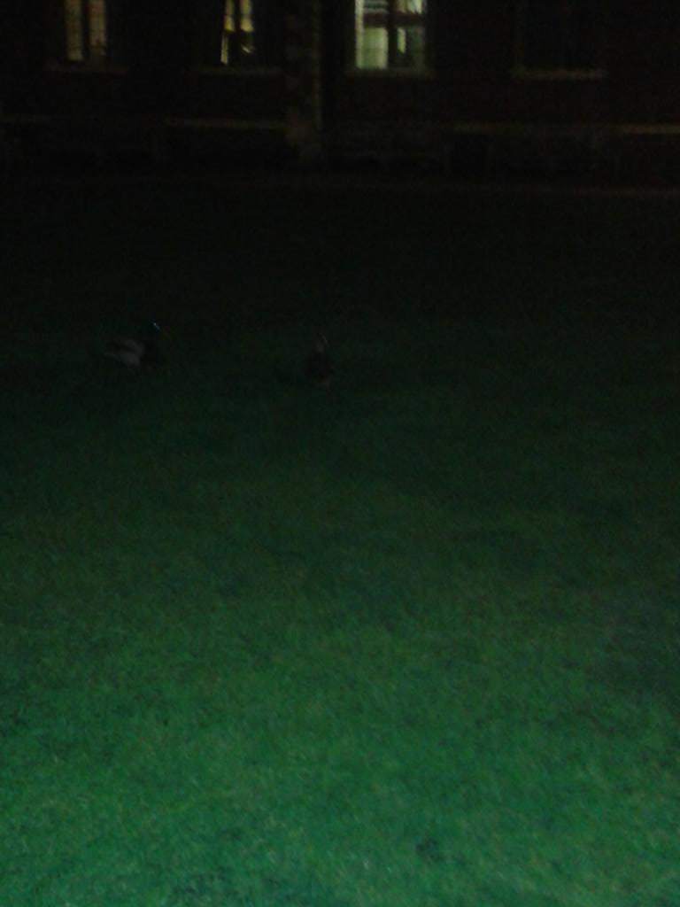 James_Doherty92's tweet photo. .@HollehButler @superstarclp @kes3291 @kat_hol It's a whole year since #duckthesystem #onthePeter #sayGRAVY https://t.co/g8YUS3HoJ0