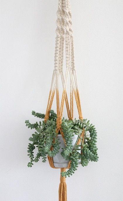 FindeMercadito's tweet photo. En el taller de Macramé para jardín aprenderás la técnica para hacer tu propio macetero colgante. Info completa: https://t.co/EUWyfQyWJX https://t.co/pJPCaEdhk2