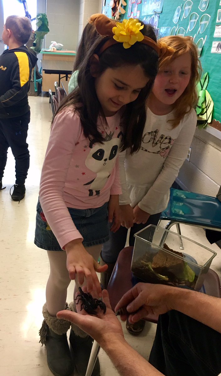 MrsPituch_SES's tweet photo. The Bugman mesmerizing our first graders! #scorpion #tarantula #hissingcockroaches #lotsofinsects https://t.co/OvhbXqTTYC