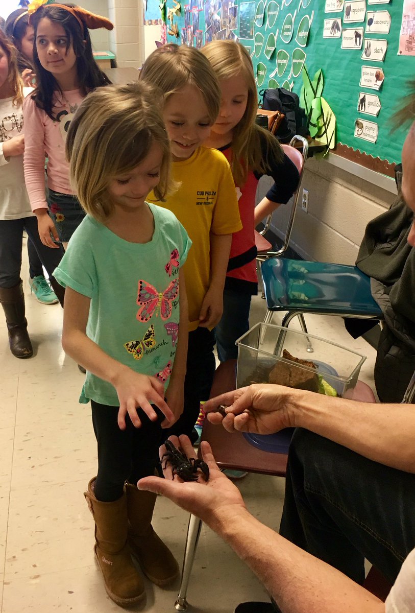 MrsPituch_SES's tweet photo. The Bugman mesmerizing our first graders! #scorpion #tarantula #hissingcockroaches #lotsofinsects https://t.co/OvhbXqTTYC