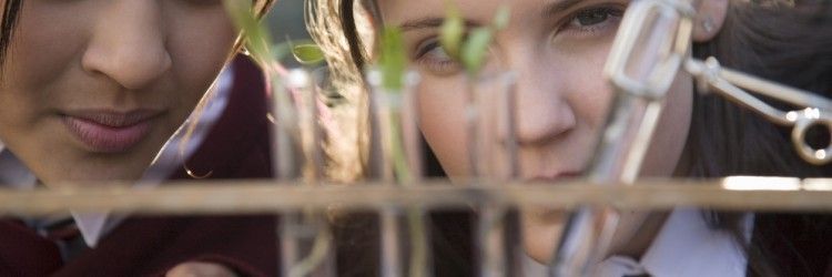 bluskylearning's tweet image. Service Learning: What Type of Program Does your School Follow? buff.ly/2mjuZLp #education #learning