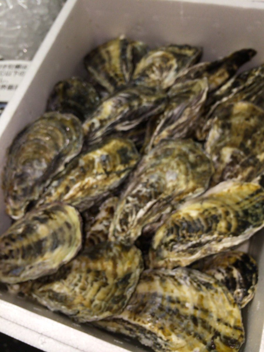 かき小屋 銀座の蛍 川崎店oyster Oyster K Twitter