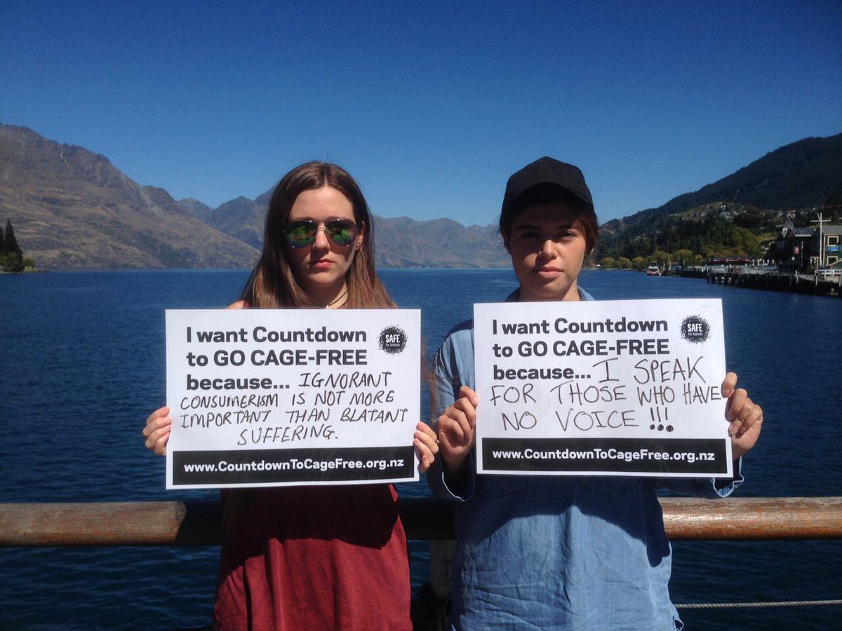 CageFree_Future's tweet photo. Hey @woolworths, get rid of all cruel cage eggs in NZ #countdowntocagefree https://t.co/EyazX11XOm