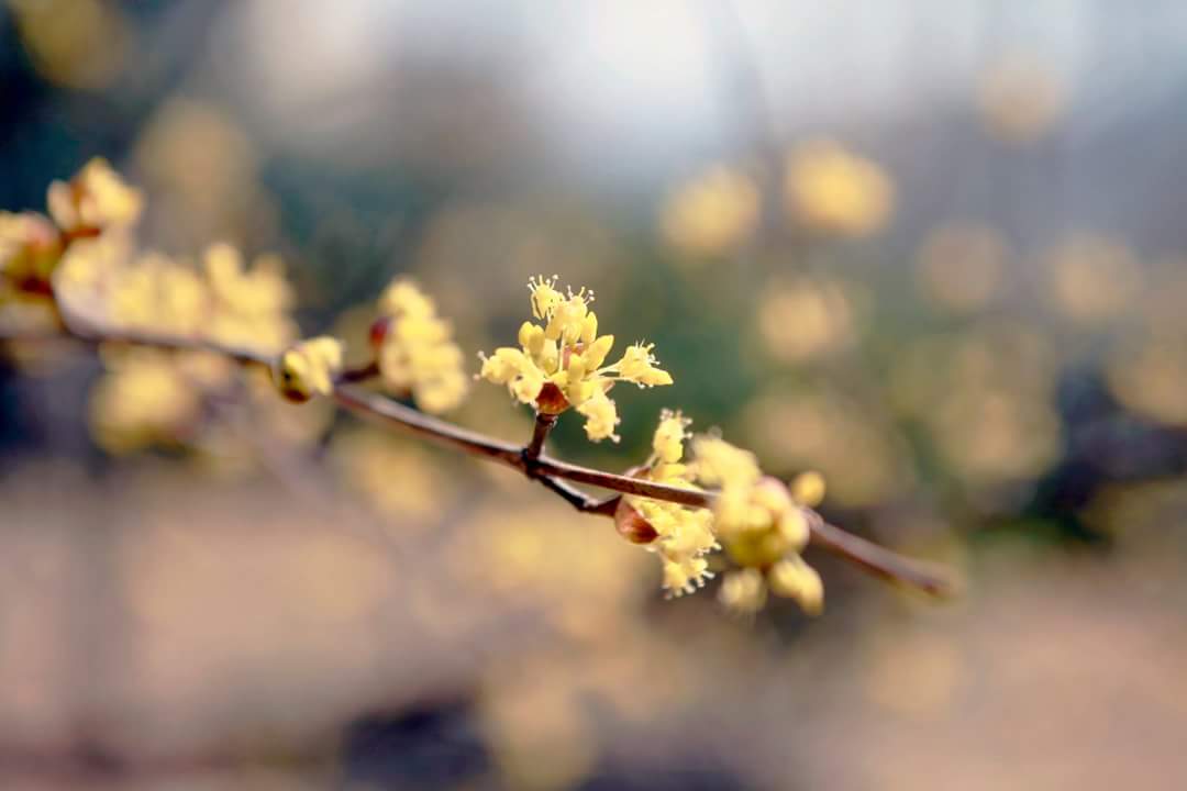 zero0ne3's tweet image. 내가 상대방을 위해 
무언가를 "해주었다"는 
생각을 하면 그에 대한 
댓가를 받고 싶은 마음이 
생깁니다.
이렇게 생각해 보세요.
내가 
그일을 할수있어 기쁘다.
내마음이 "기뻣다면" 
그것으로 되었습니다.
「생각의전환」