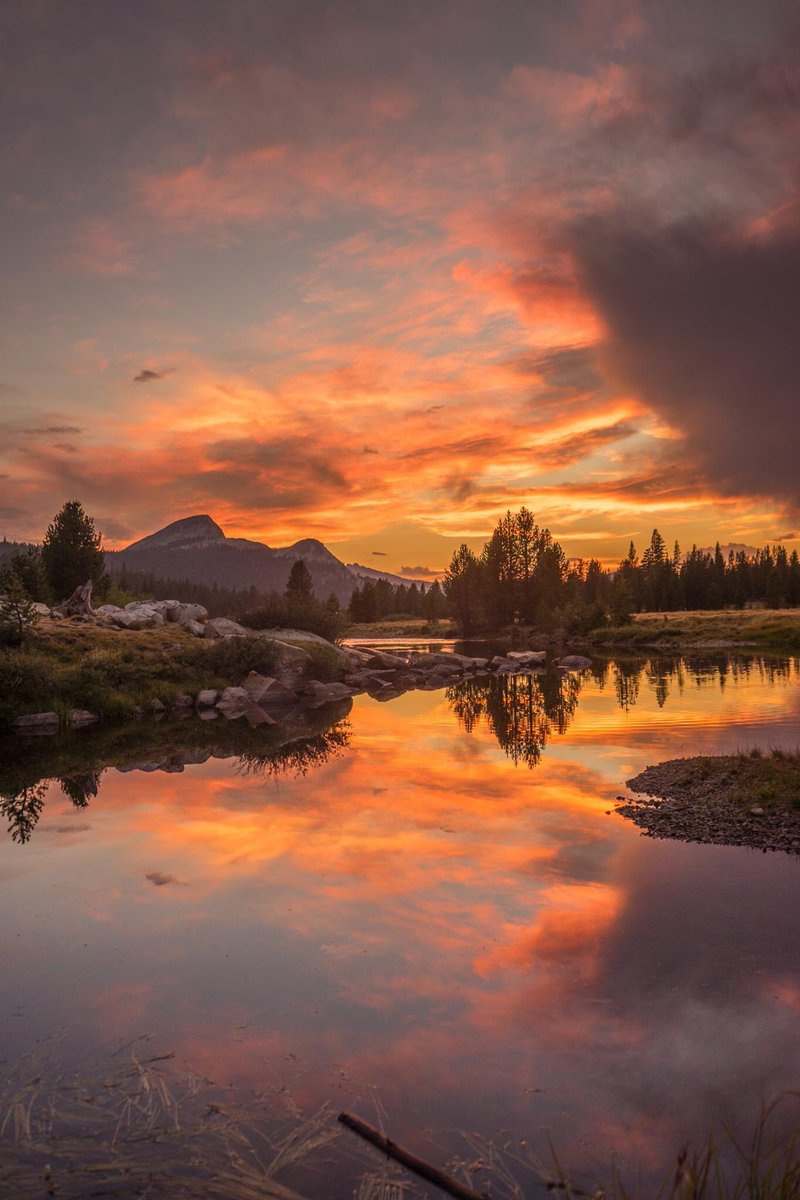 Interior's tweet photo. Some places take your breath away. Tuolumne Meadows @YosemiteNPS is one of them #California https://t.co/IkhUOJq5rB