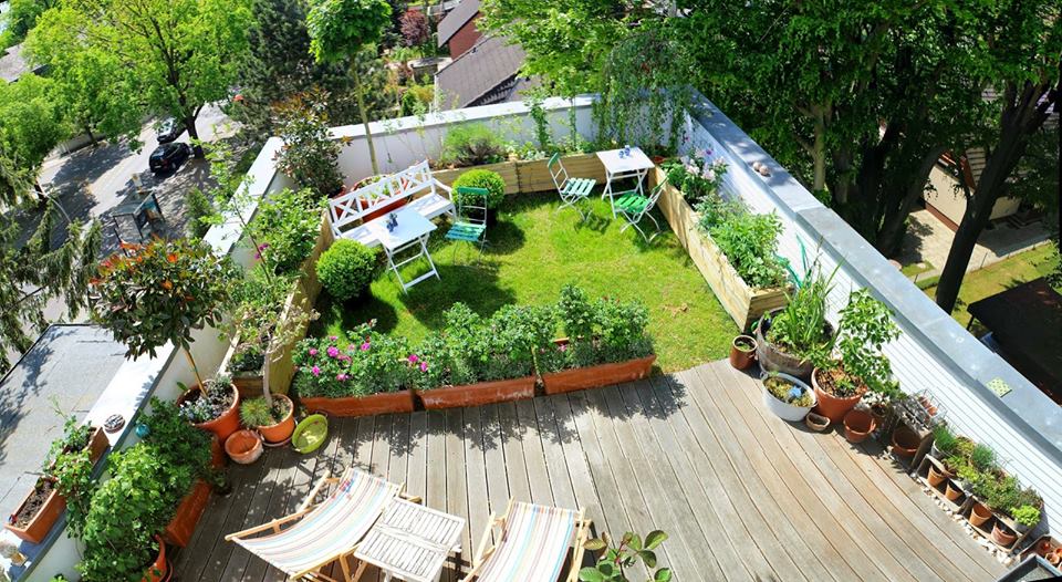Orgeonics_Roof's tweet photo. Do roof top gardening and make good use of frequently unused and wasted space
Call: +91-89688-17797| https://t.co/mqDIFCAi6Y
#OrganicFarming https://t.co/pwQvl7DlO8