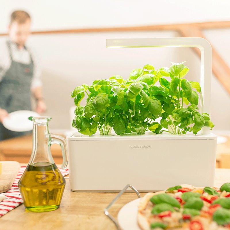 Food52's tweet photo. 5 clever devices making it easier to grow greens at home. https://t.co/ASzj9g8MIv https://t.co/zHwEc8dwRl