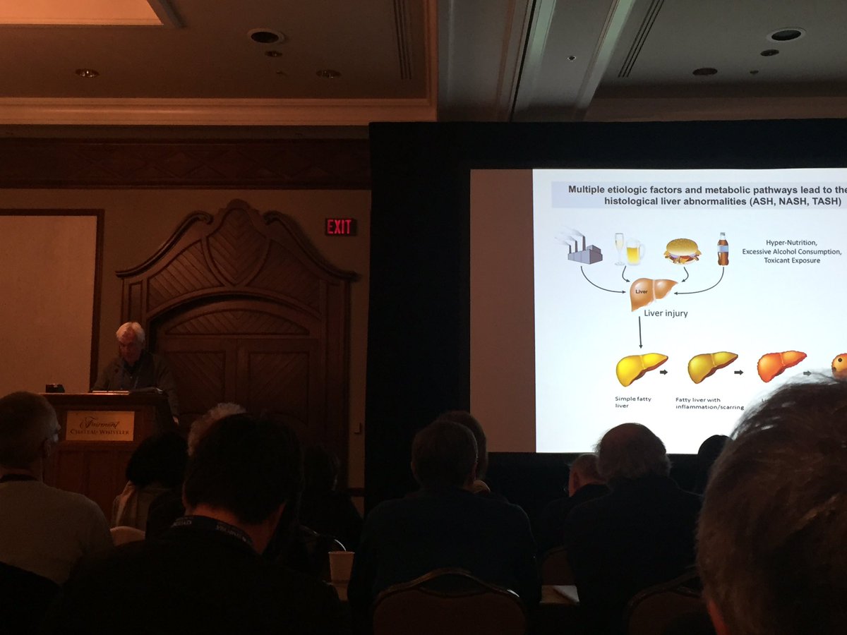 Excellent talk by Michael Karin defining a role for immunosuppressive IgA+ plasmocytes in progression of NASH to HCC KScancerimm#