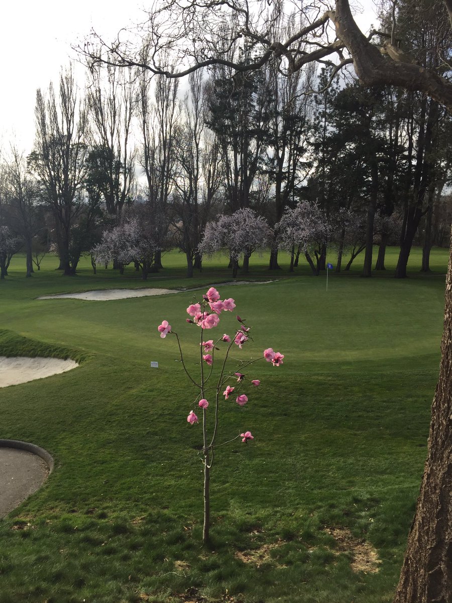 There's hope that this winter might actually end!! #gottolovevgc