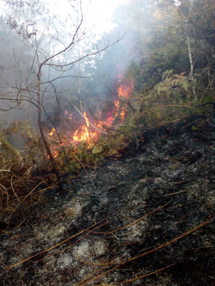 Se da por CONTROLADO el incendio forestal en San José Dota Santa María a la orilla de la laguna don Manuel.