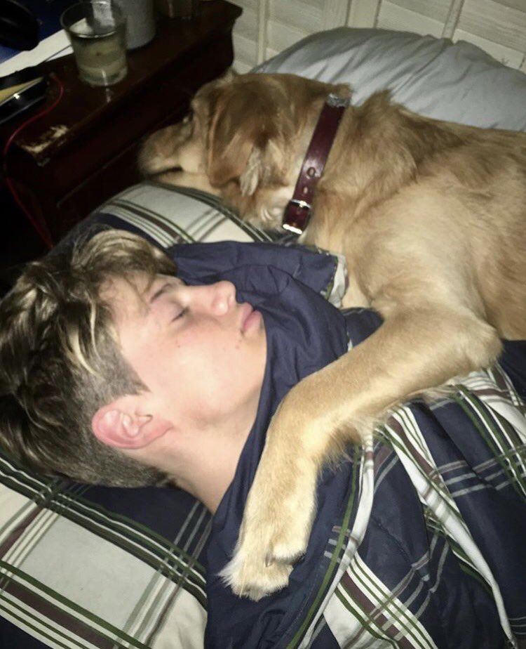 🐶❤️